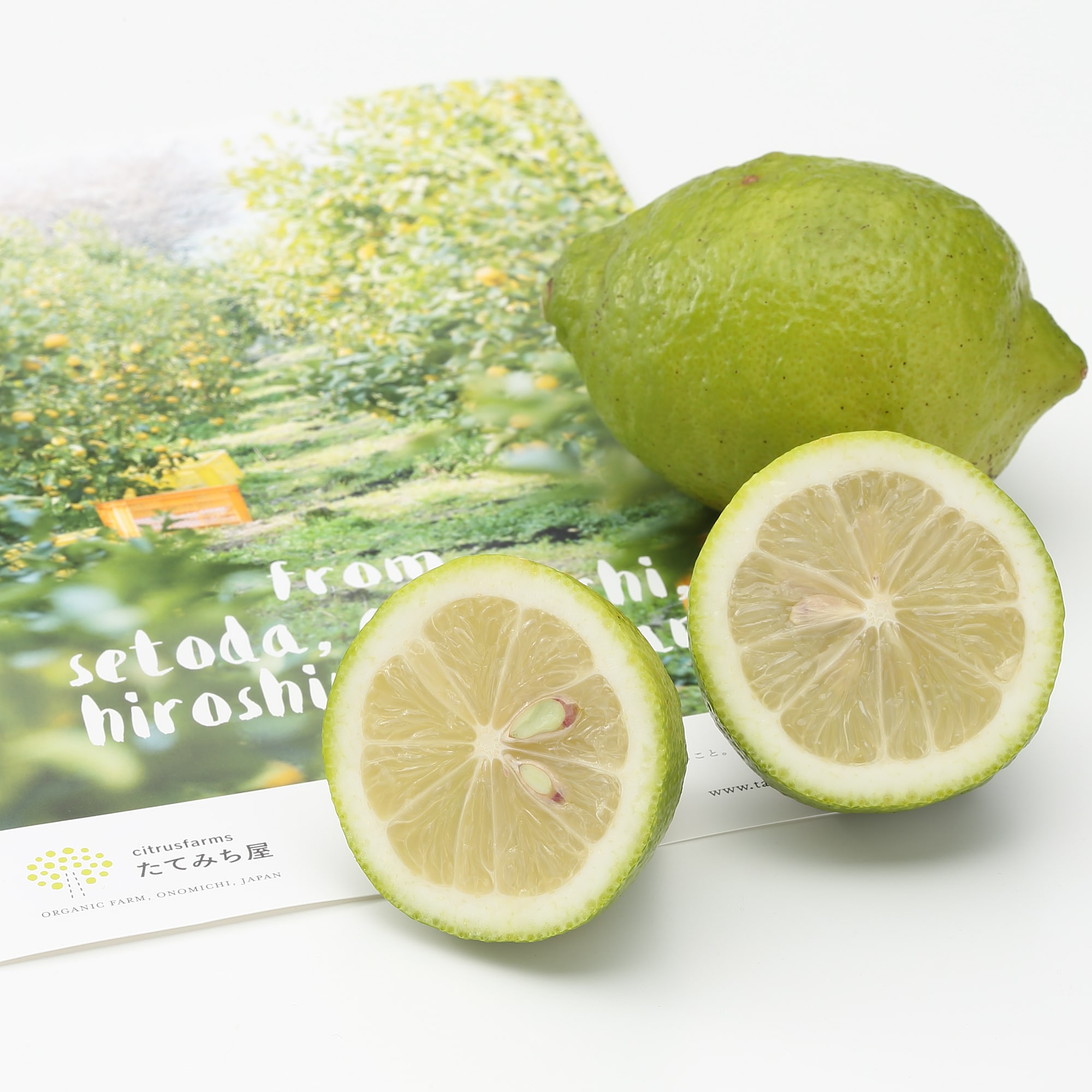 広島県産 たてみち屋の「グリーンレモン」（農薬：栽培期間中不使用