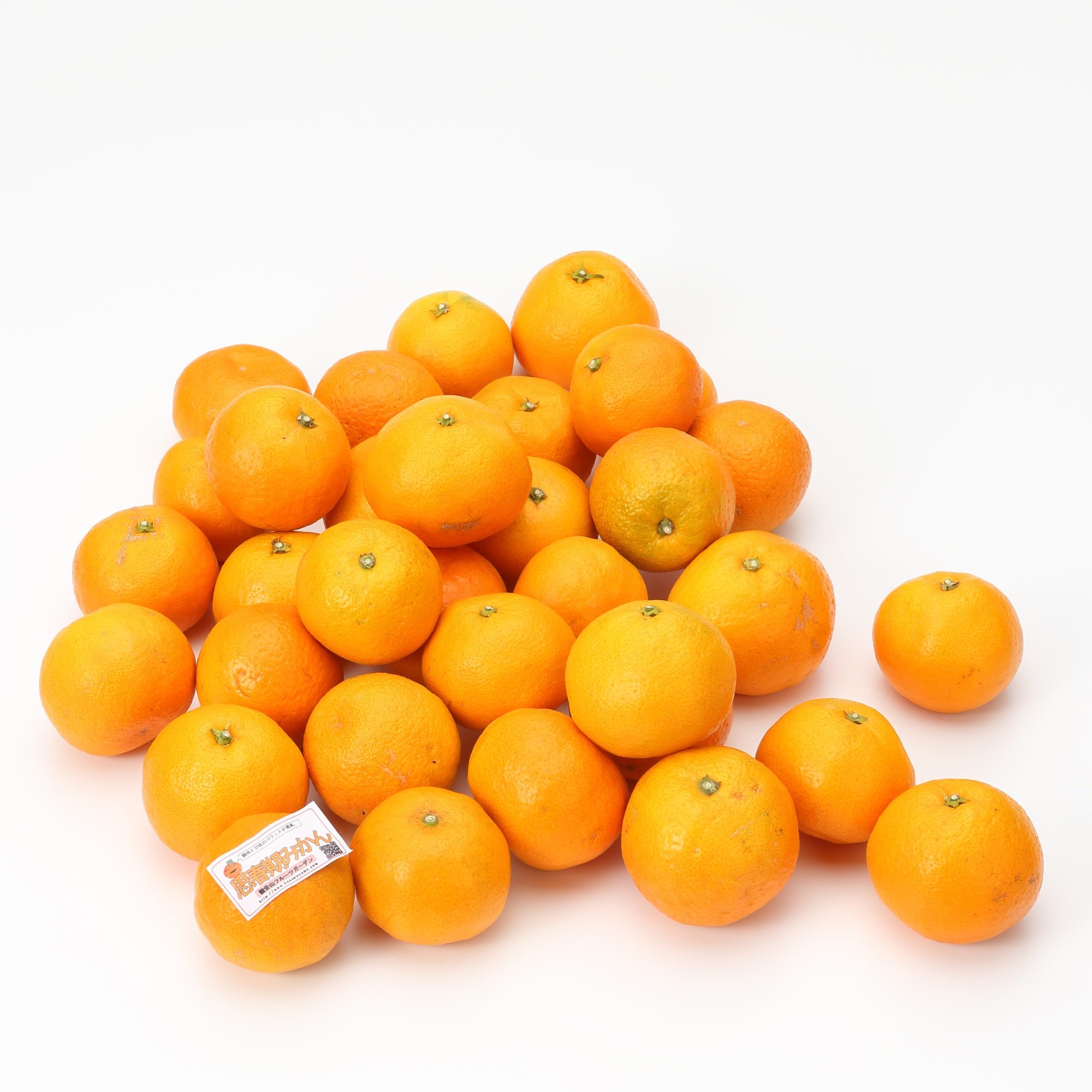 和歌山県産　観音山フルーツガーデンの「温州みかん」家庭用　サイズ無選別　約３ｋｇ