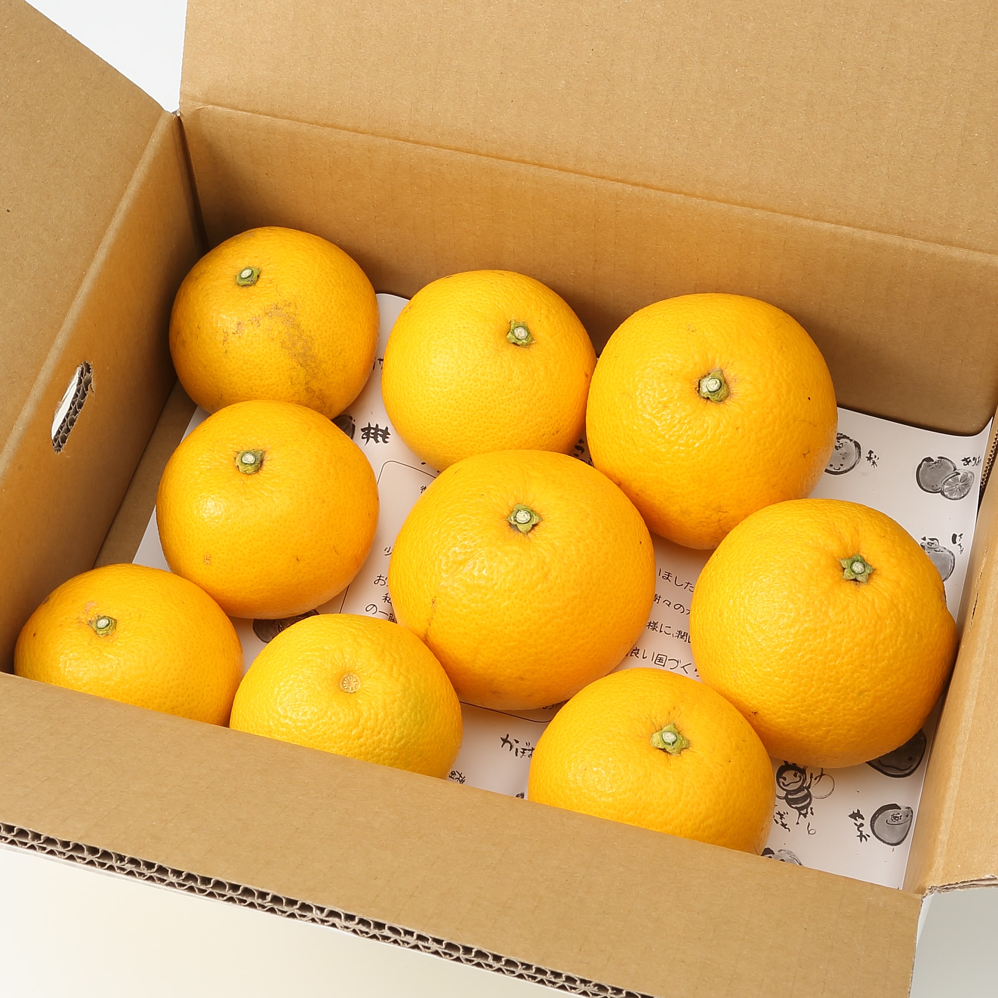 和歌山県産　観音山フルーツガーデンの「八朔」家庭用・約３ｋｇ