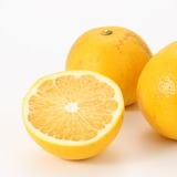 和歌山県産　観音山フルーツガーデンの「八朔」家庭用・約３ｋｇ