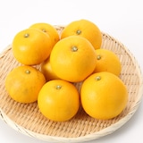 和歌山県産　観音山フルーツガーデンの「八朔」家庭用・約３ｋｇ