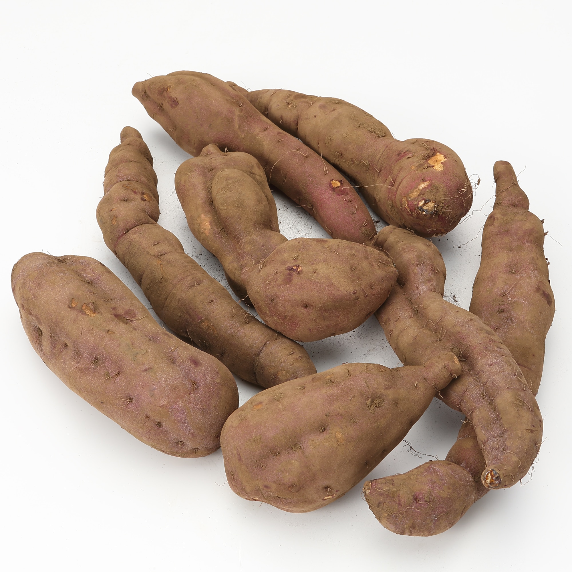 埼玉県産むさし野自然農場のさつまいも「むさしこがね」 家庭用・約3kg　