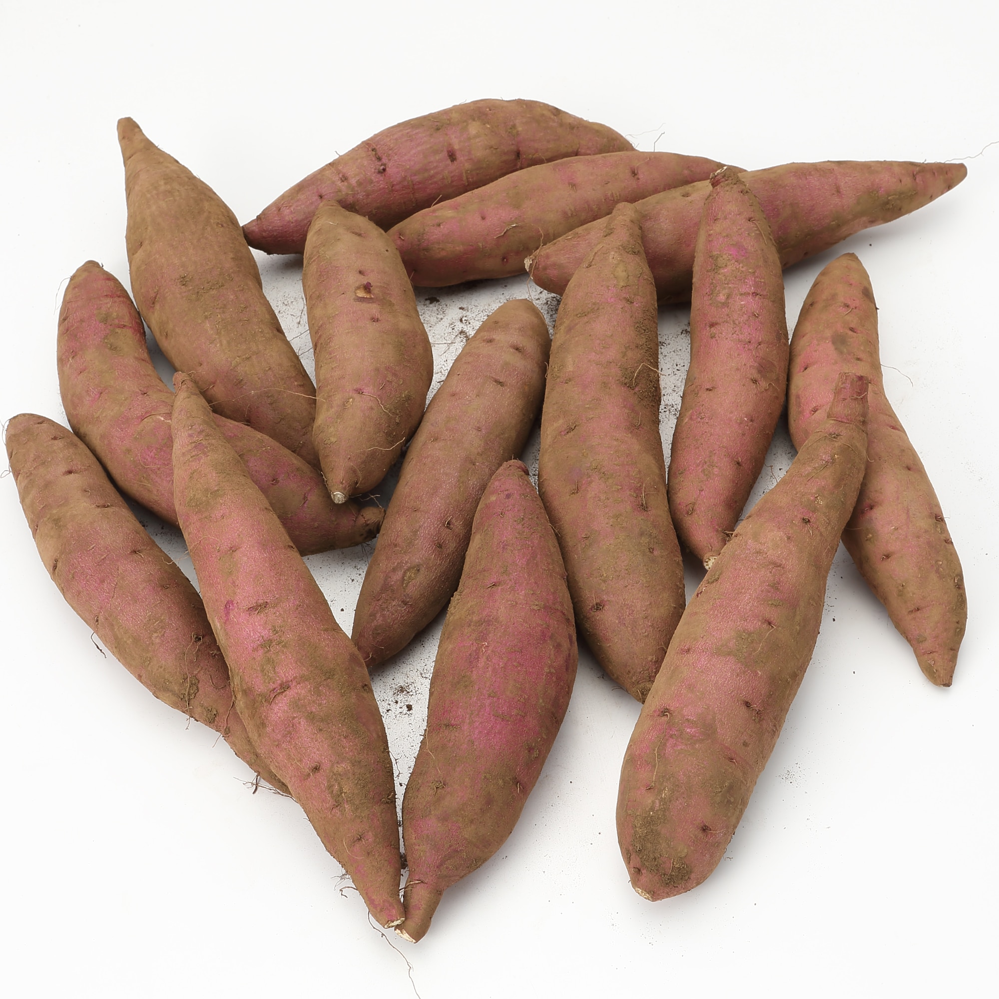 埼玉県産　むさし野自然農場のさつまいも「紅赤金時」 約３ｋｇ