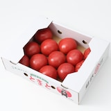 熊本県玉名市産　蘇鉄園芸のトマト「桃太郎」　家庭用・約２ｋｇ（Ｓ～Ｌサイズ）