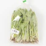 長崎県雲仙市産　岩崎さんの在来種野菜セット