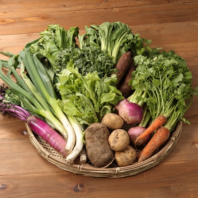 長崎県雲仙市産　岩崎さんの在来種野菜セット