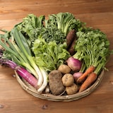 長崎県雲仙市産　岩崎さんの在来種野菜セット