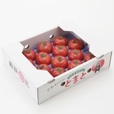 熊本県玉名市産　蘇鉄園芸のトマト「桃太郎」　約１．５ｋｇ（糖度７以上、Ｓサイズ）