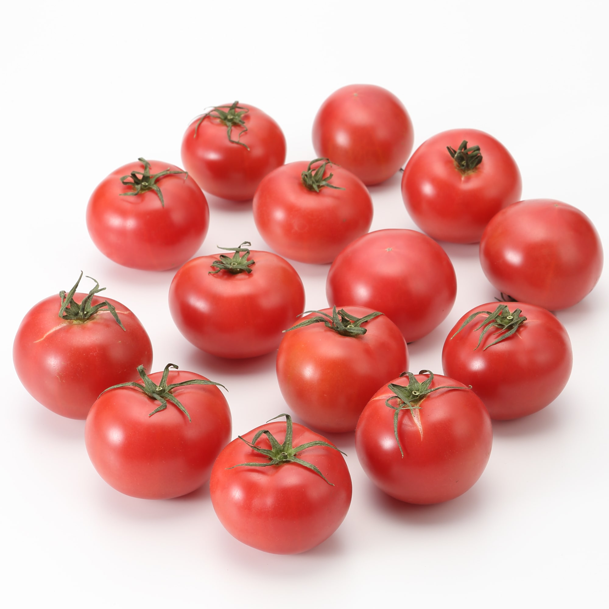 熊本県玉名市産　蘇鉄園芸のトマト「桃太郎」　約１．５ｋｇ（糖度７以上、Ｓサイズ）