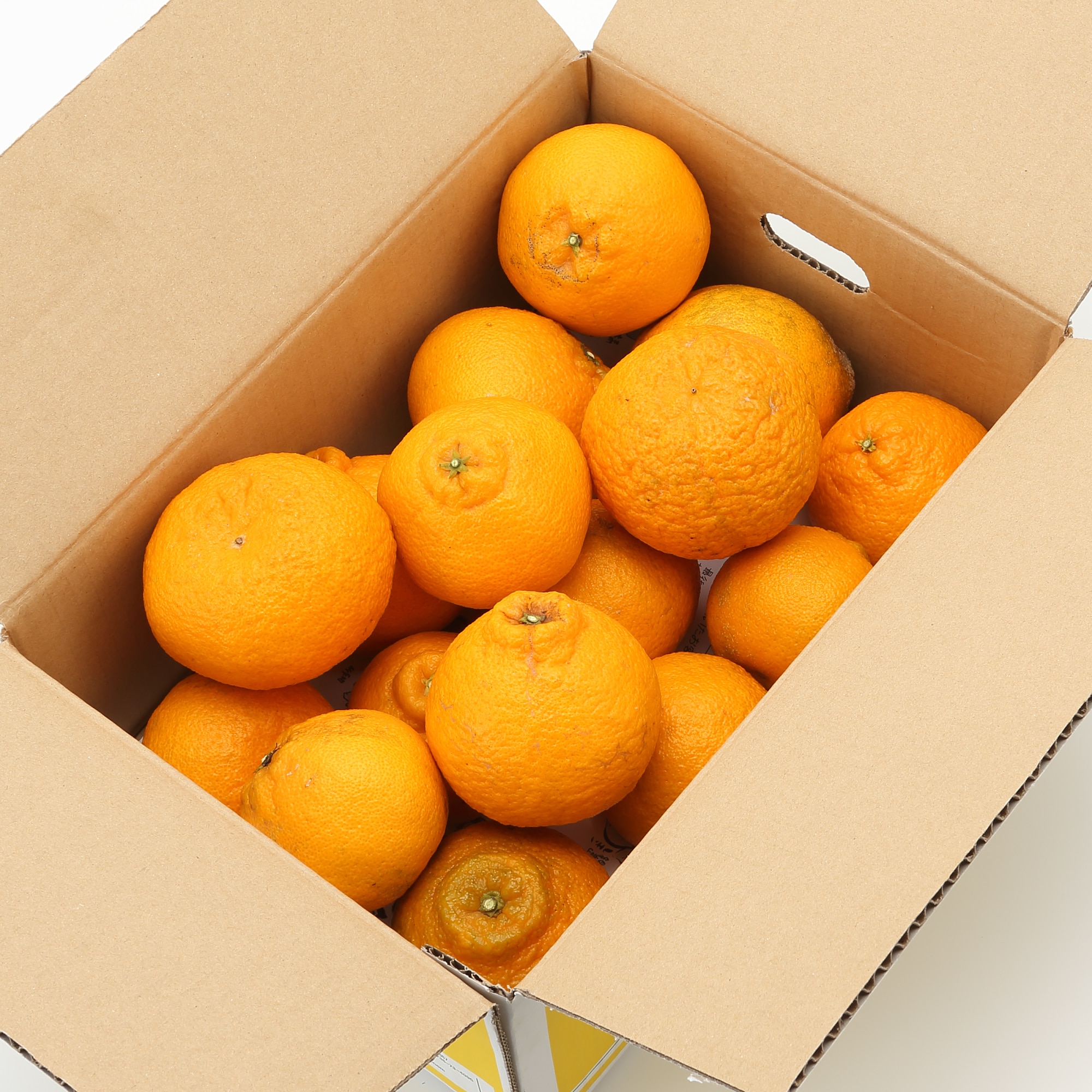 和歌山県産　観音山フルーツガーデンの「しらぬい」　家庭用・約３ｋｇ