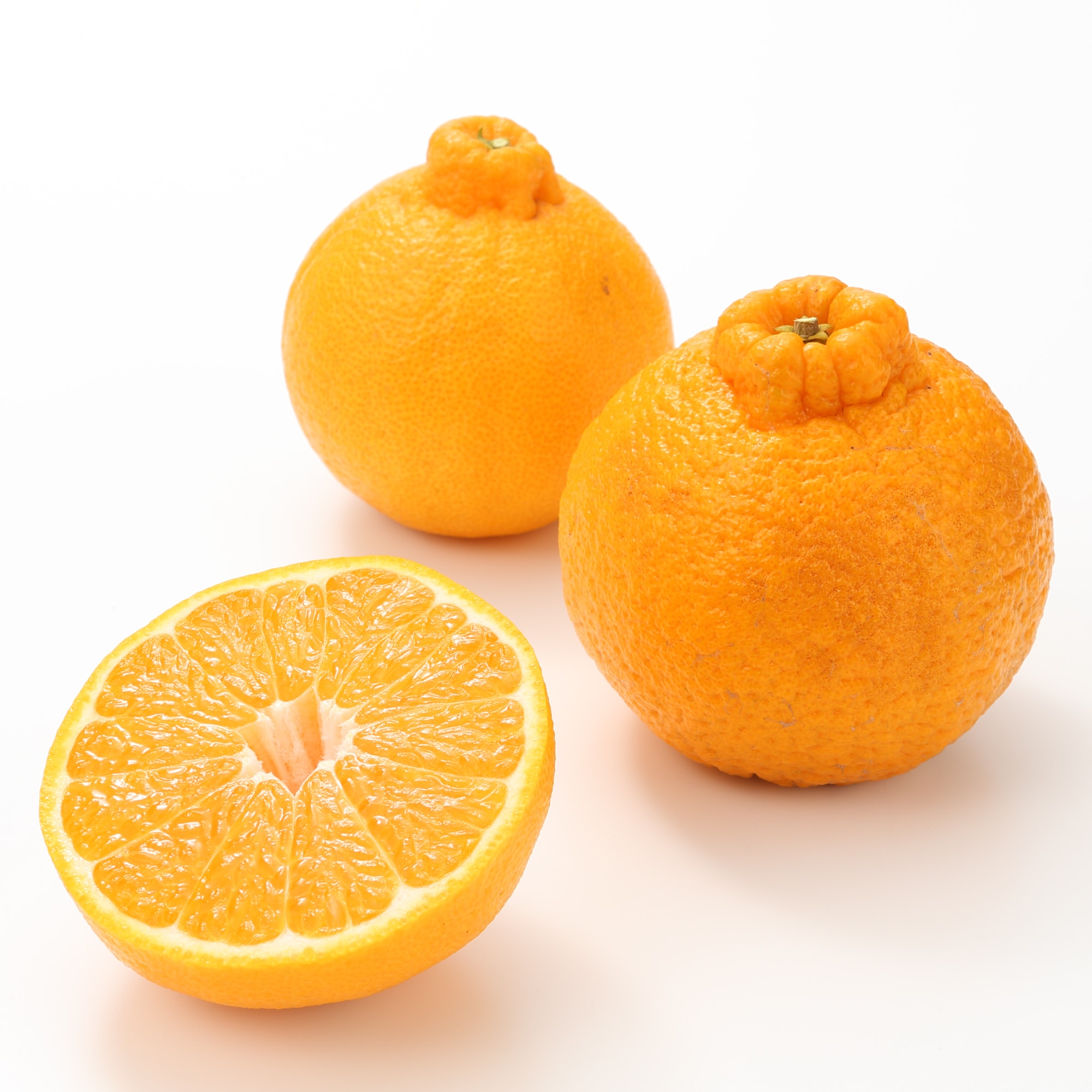 和歌山県産　観音山フルーツガーデンの「しらぬい」　家庭用・約３ｋｇ