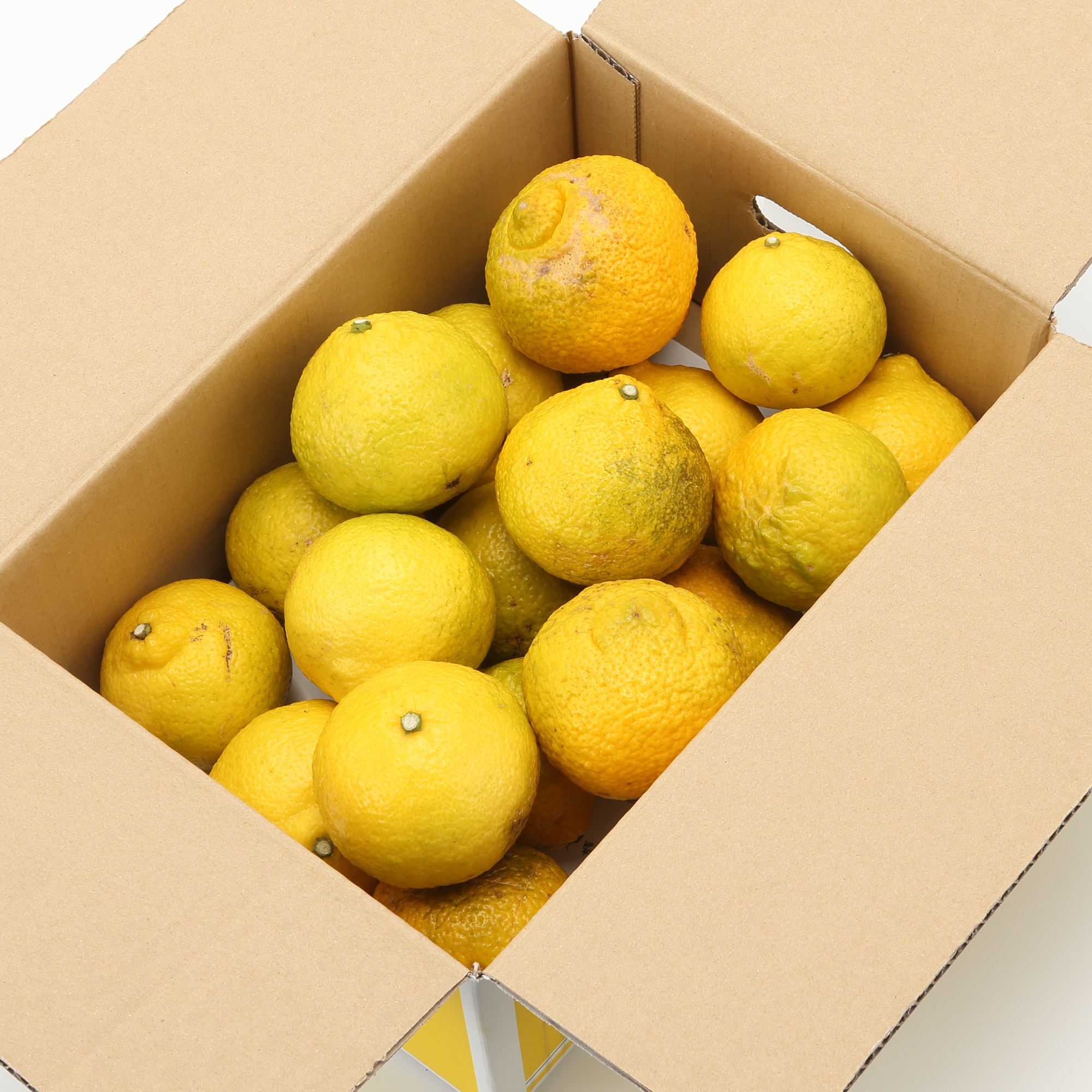 和歌山県産　観音山フルーツガーデンの「はるか」家庭用・約３ｋｇ