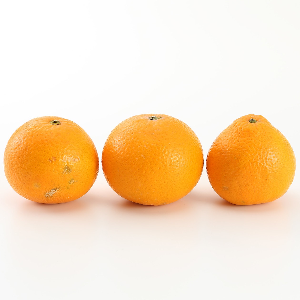 和歌山県産　観音山フルーツガーデンの「清見オレンジ」家庭用・約３ｋｇ