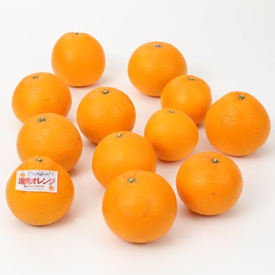 和歌山県産　観音山フルーツガーデンの「清見オレンジ」家庭用・約３ｋｇ