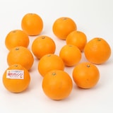 和歌山県産　観音山フルーツガーデンの「清見オレンジ」家庭用・約３ｋｇ