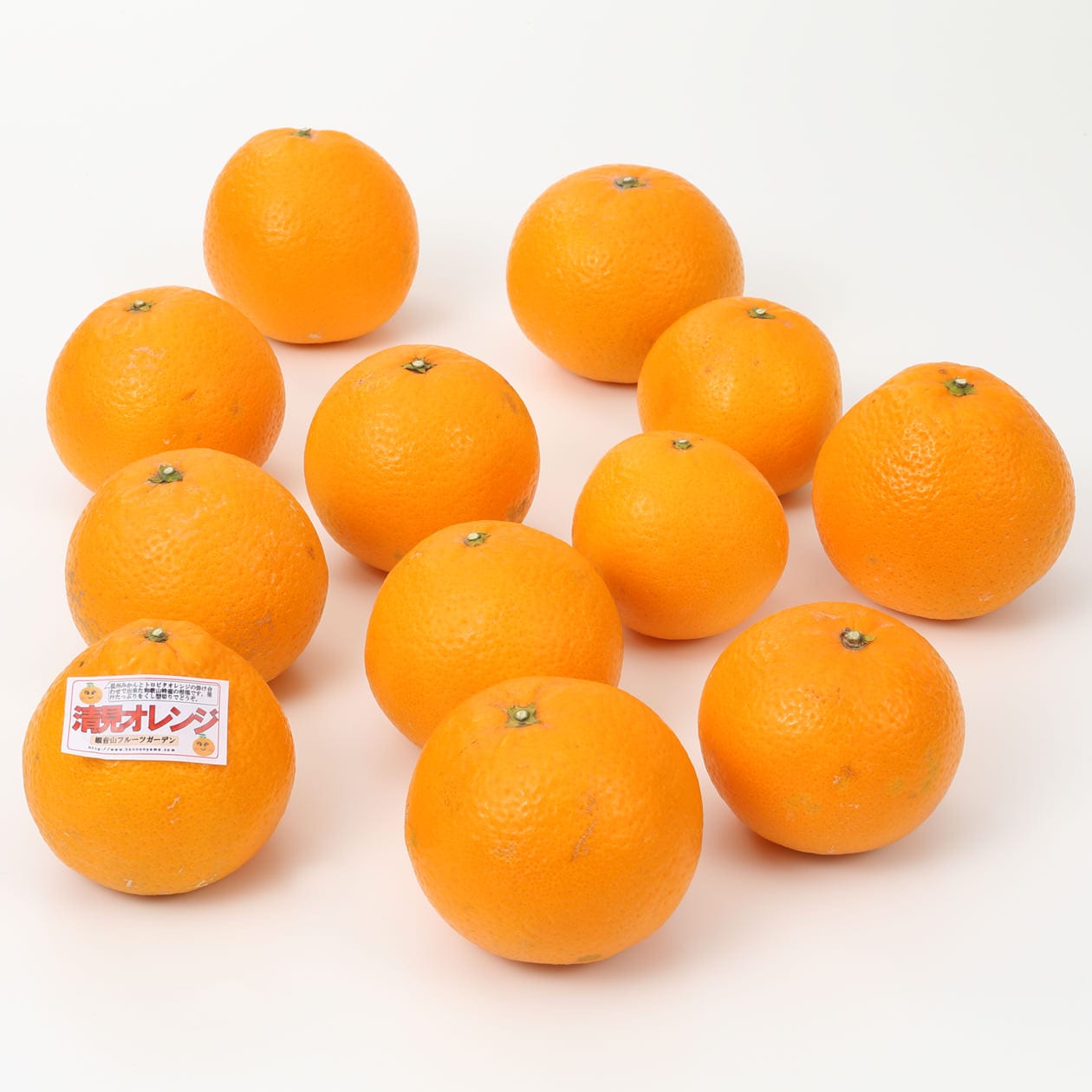 和歌山県産　観音山フルーツガーデンの「清見オレンジ」家庭用・約３ｋｇ