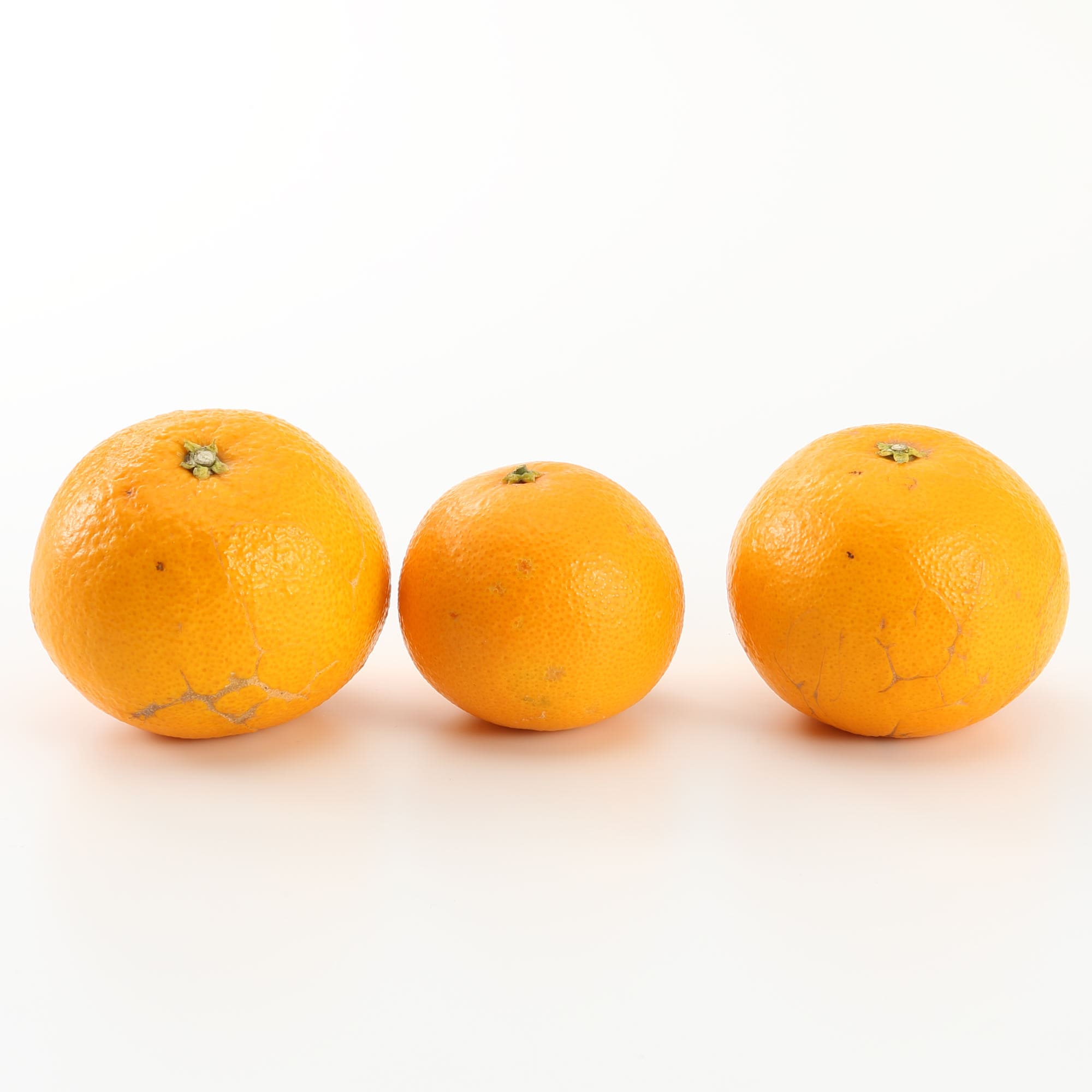 和歌山県産　観音山フルーツガーデンの「春峰」　家庭用・約３ｋｇ