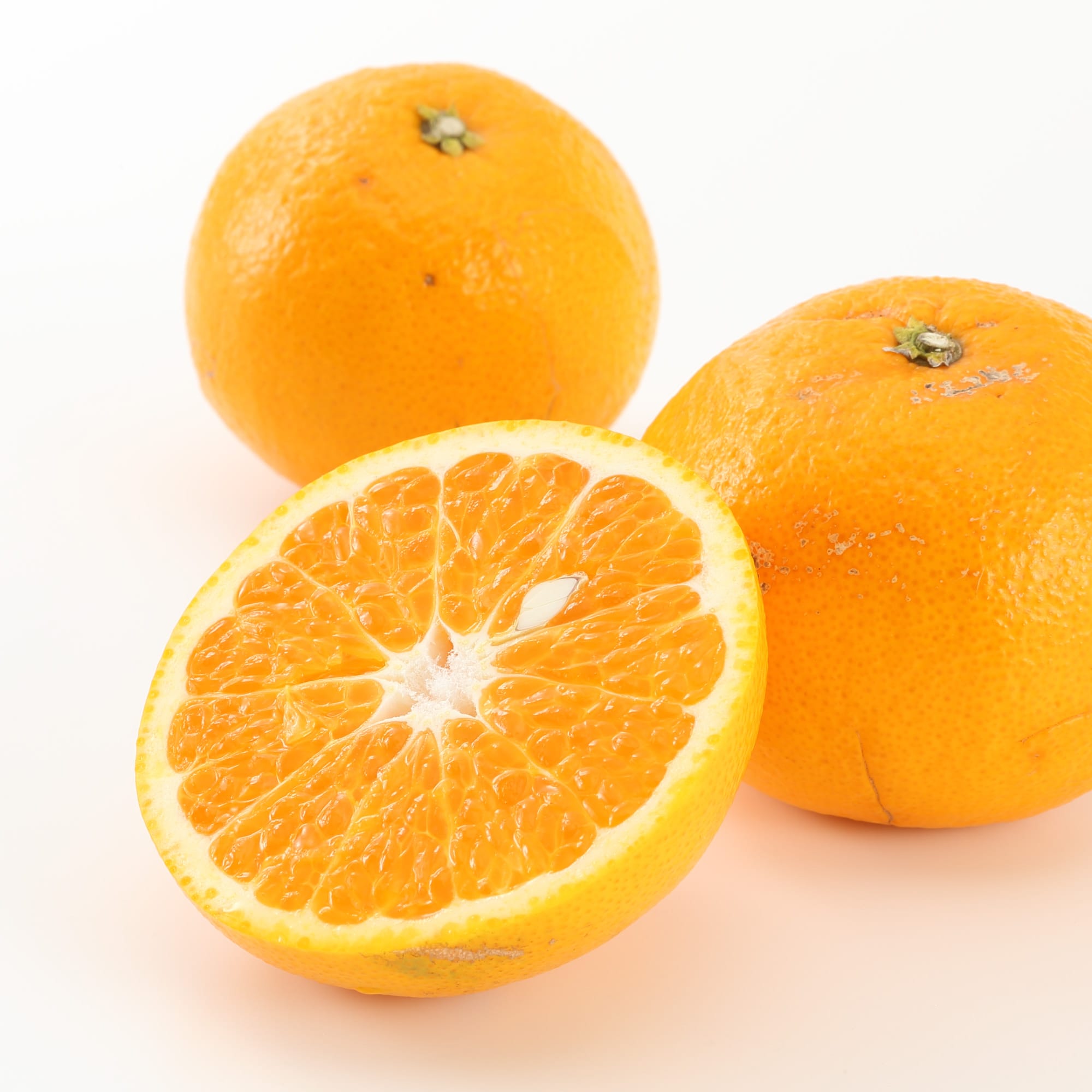 和歌山県産　観音山フルーツガーデンの「春峰」　家庭用・約３ｋｇ