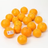 和歌山県産　観音山フルーツガーデンの「春峰」　家庭用・約３ｋｇ