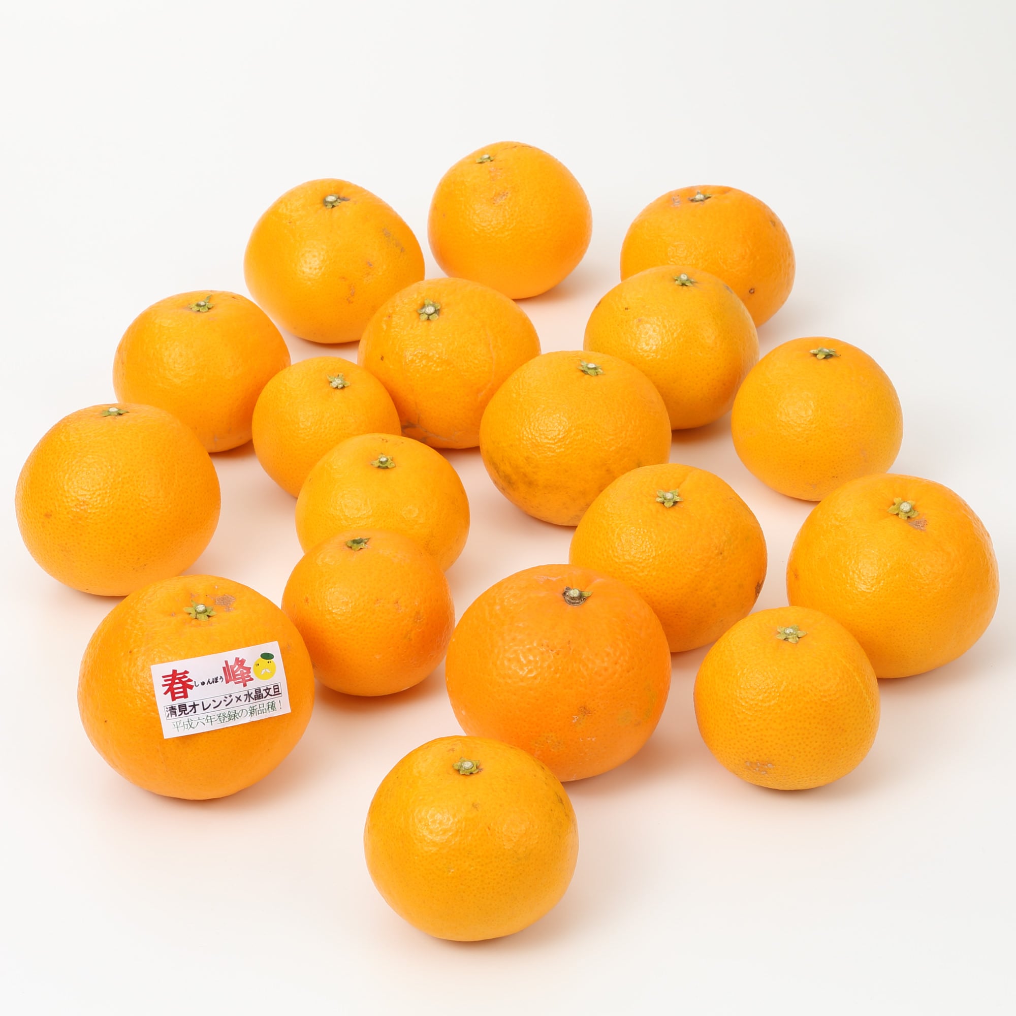 和歌山県産　観音山フルーツガーデンの「春峰」　家庭用・約３ｋｇ