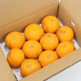 和歌山県産　観音山フルーツガーデンの「甘夏みかん」　家庭用・約３ｋｇ