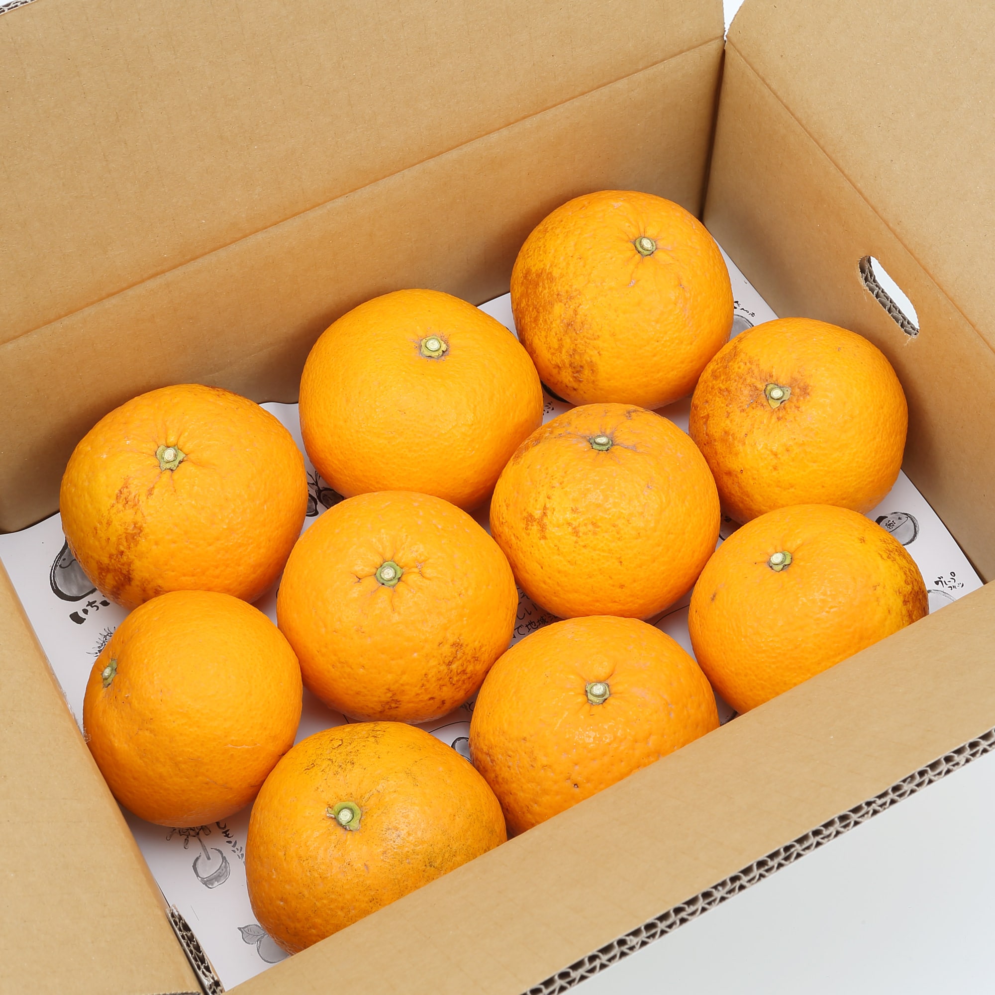 和歌山県産　観音山フルーツガーデンの「甘夏みかん」　家庭用・約３ｋｇ