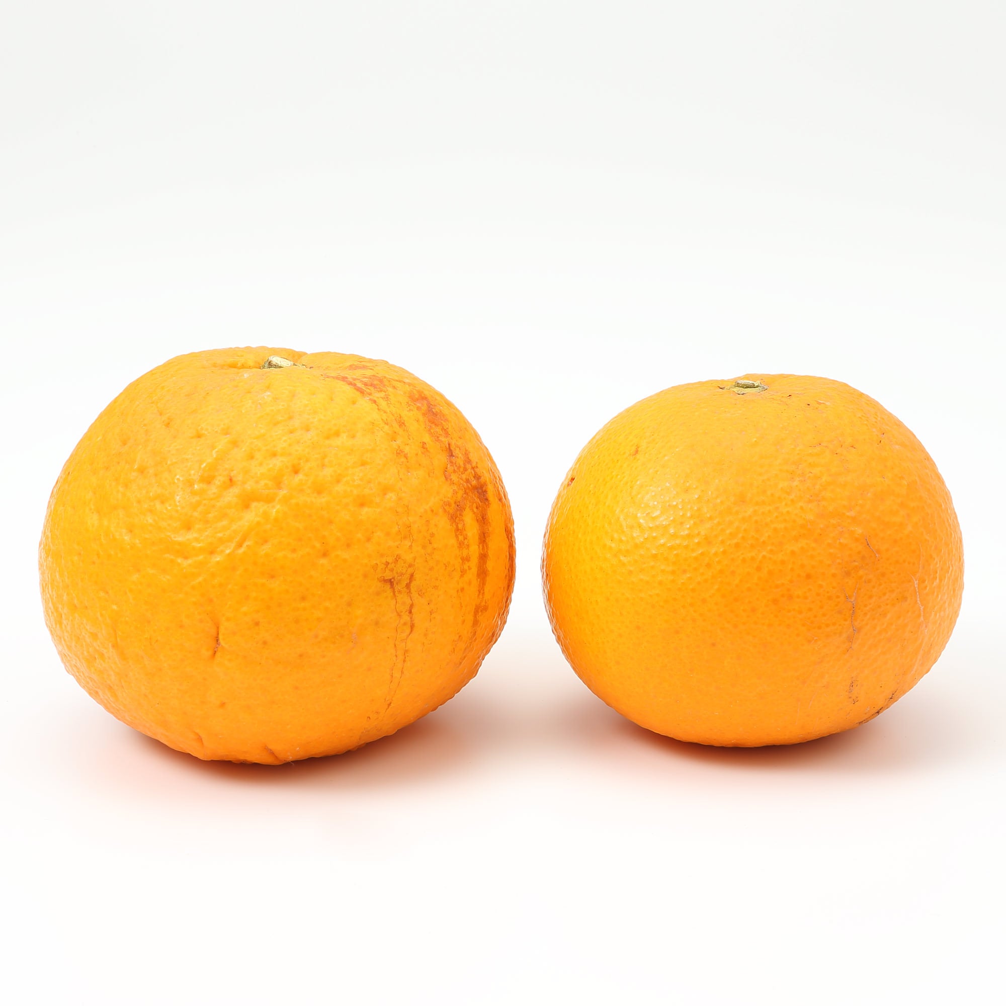 和歌山県産　観音山フルーツガーデンの「甘夏みかん」　家庭用・約３ｋｇ