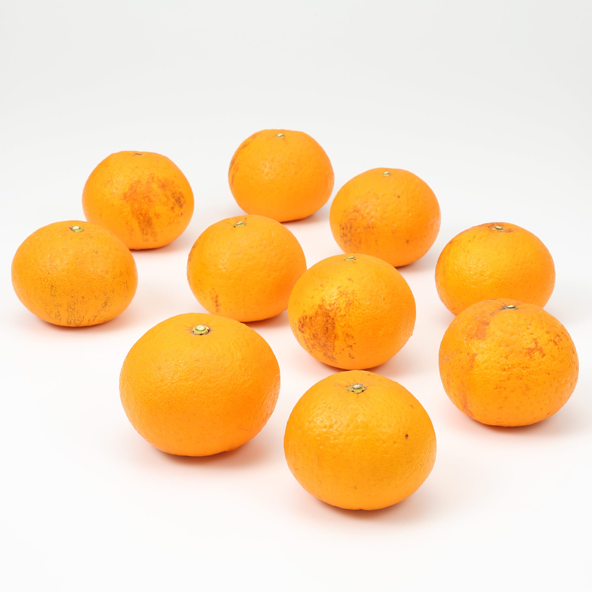 和歌山県産　観音山フルーツガーデンの「甘夏みかん」　家庭用・約３ｋｇ