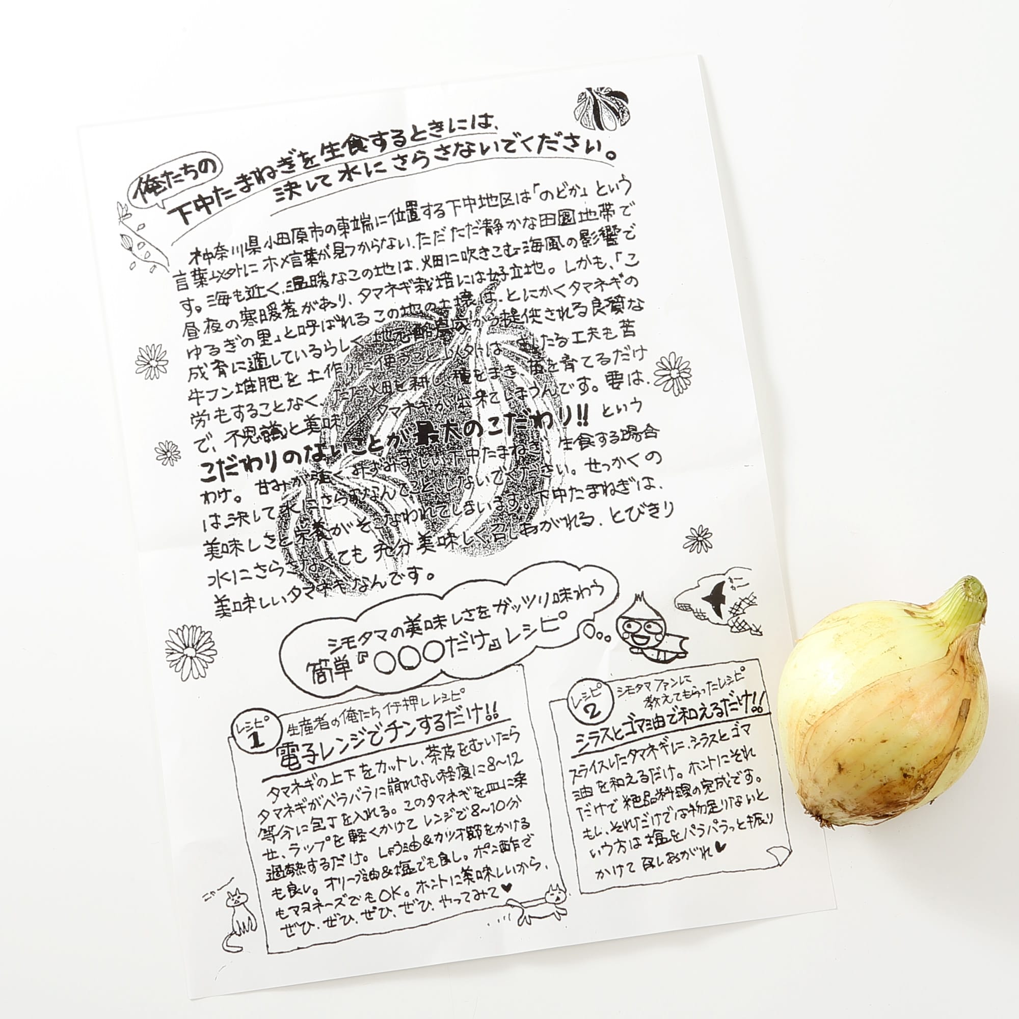 神奈川県産 俺たちのファームの「下中たまねぎ」　サイズ混合・約５ｋｇ