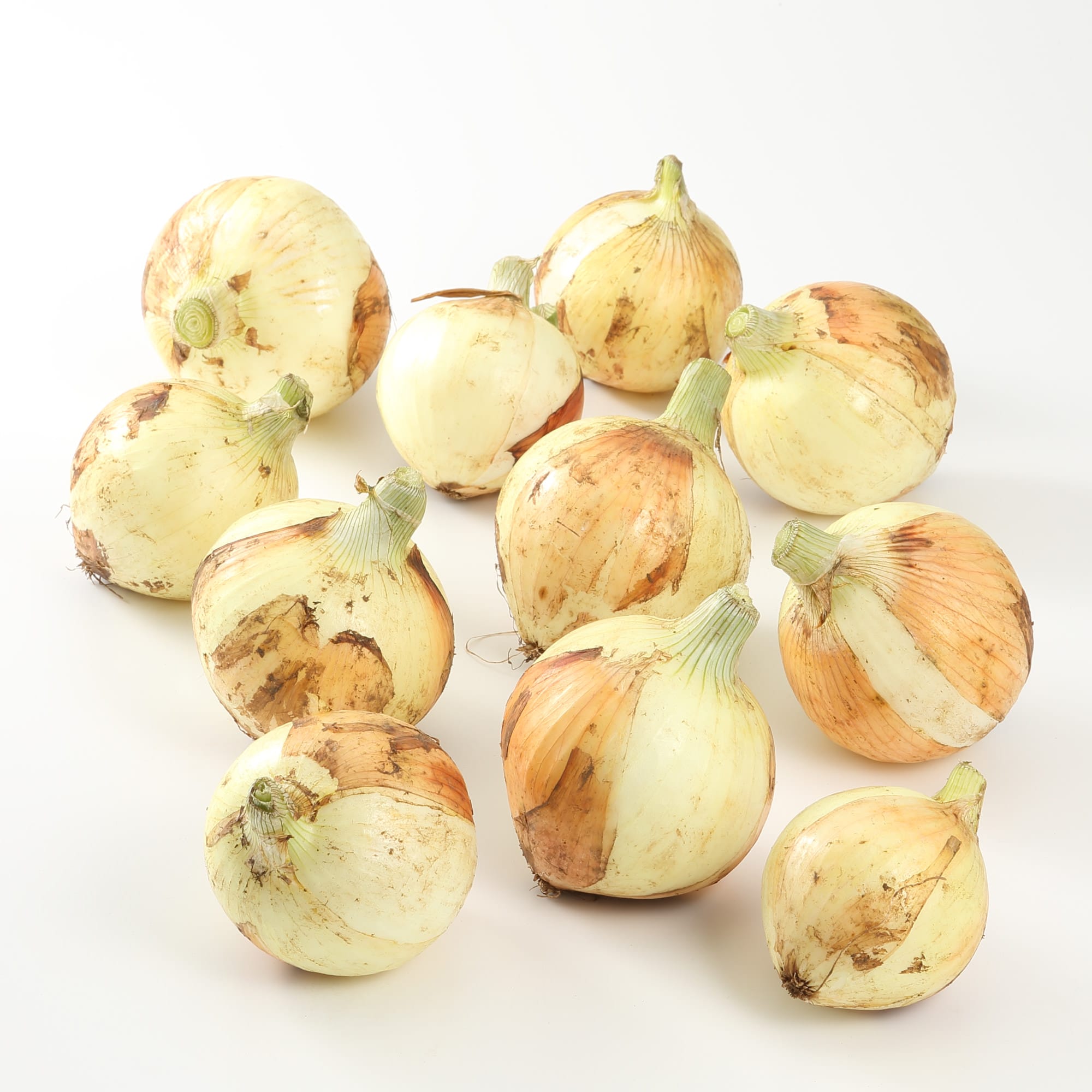 神奈川県産 俺たちのファームの「下中たまねぎ」　サイズ混合・約５ｋｇ