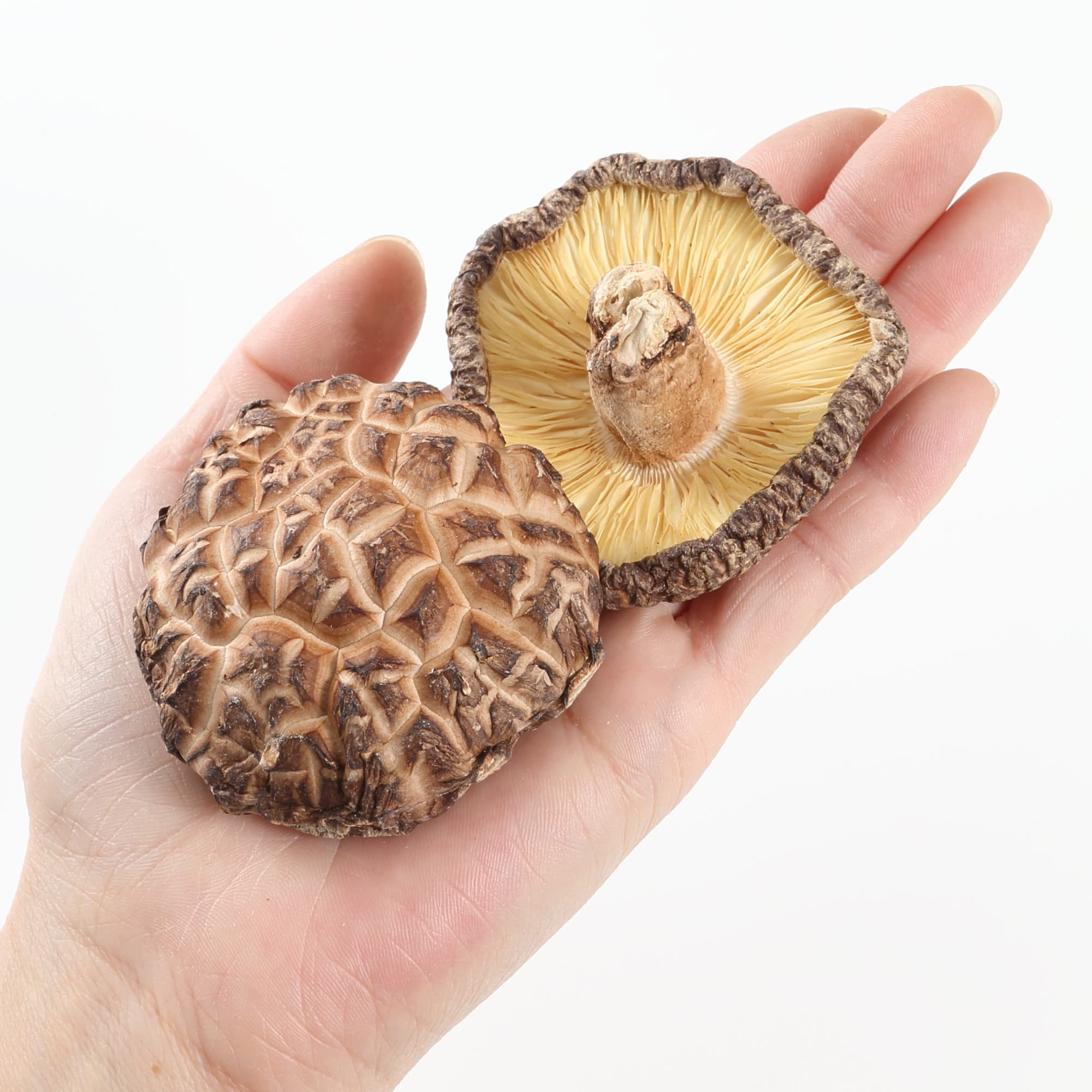 三重県産　原木乾しいたけ　香信