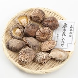 三重県産　原木乾しいたけ　どんこ