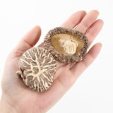 三重県産　原木乾しいたけ　どんこ