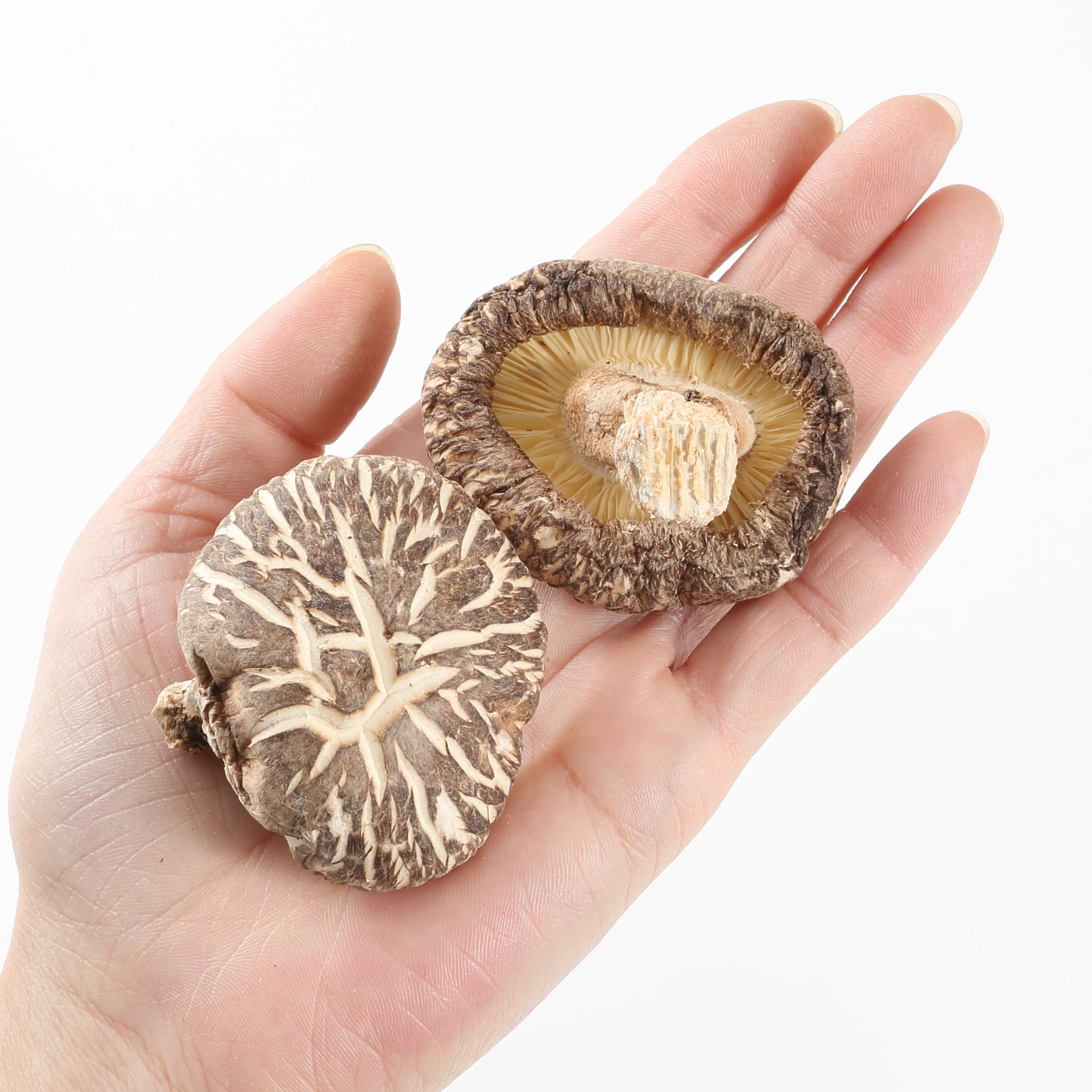 三重県産　原木乾しいたけ　どんこ