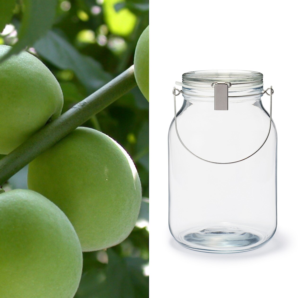 古城梅 梅酒づくりセット 1kg 通販 無印良品 古城梅 梅酒づくりセット 1kg 通販 無印良品