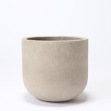 ベンガルゴム　セメント鉢　１１号