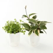 帆布プランターカバー 約直径１１ 高さ１６ｃｍ フラワーベース 鉢 花瓶 通販 無印良品
