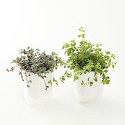 帆布プランターカバー 約直径１１ 高さ１６ｃｍ フラワーベース 鉢 花瓶 通販 無印良品