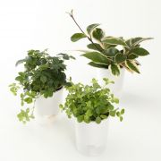 吊りさげるプランターカバー ３連 帆布 型番 ｍｊ ｐｃ３ 鉢が選べる底面給水鉢の観葉植物 通販 無印良品