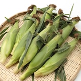 山梨県産　志田農園のとうもろこし「甘々娘」家庭用・約３ｋｇ（８～９本）