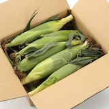 山梨県産　志田農園のとうもろこし「甘々娘」家庭用・約３ｋｇ（８～９本）