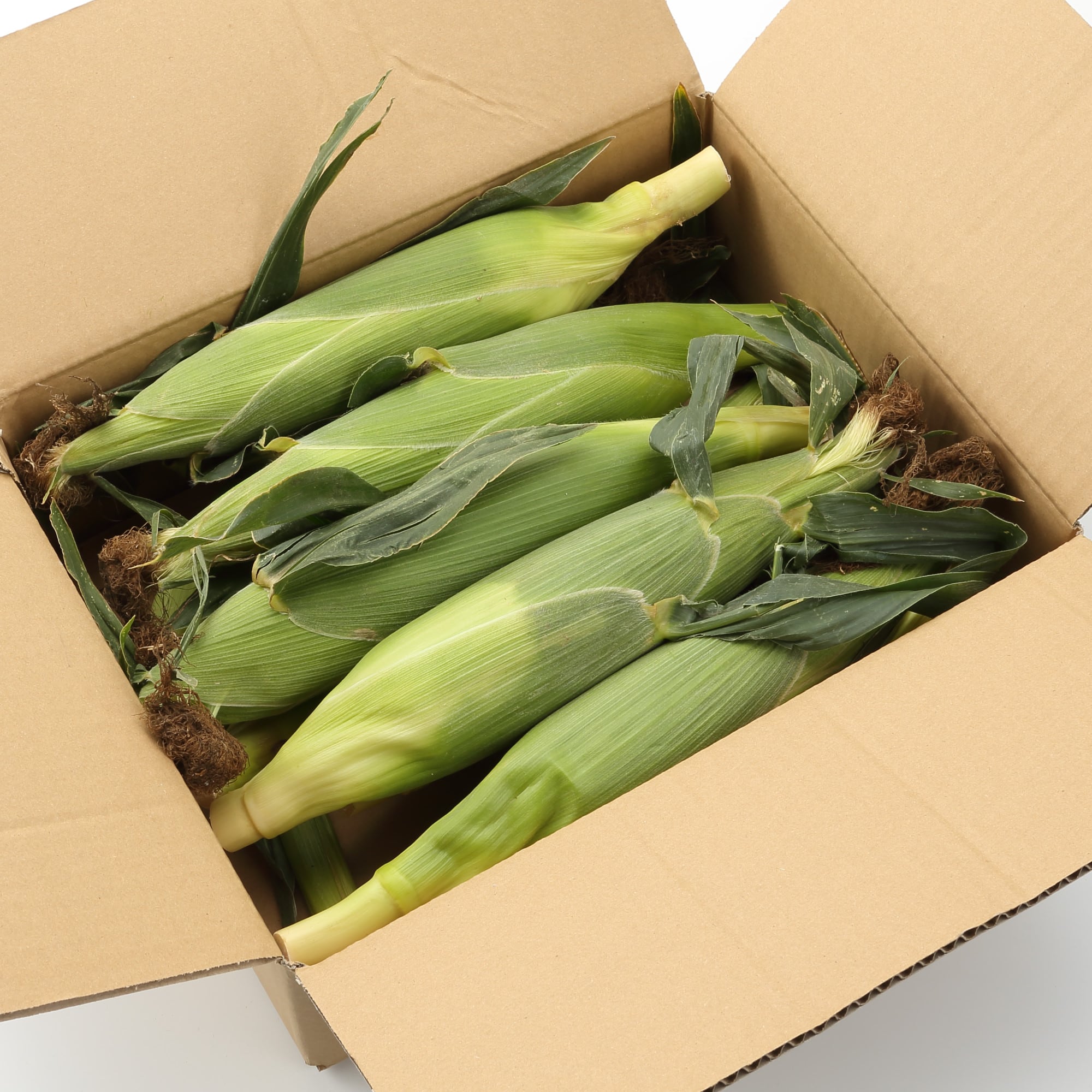 山梨県産　志田農園のとうもろこし「甘々娘」家庭用・約３ｋｇ（８～９本）