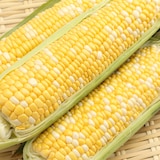 山梨県産　志田農園のとうもろこし「甘々娘」家庭用・約３ｋｇ（８～９本）