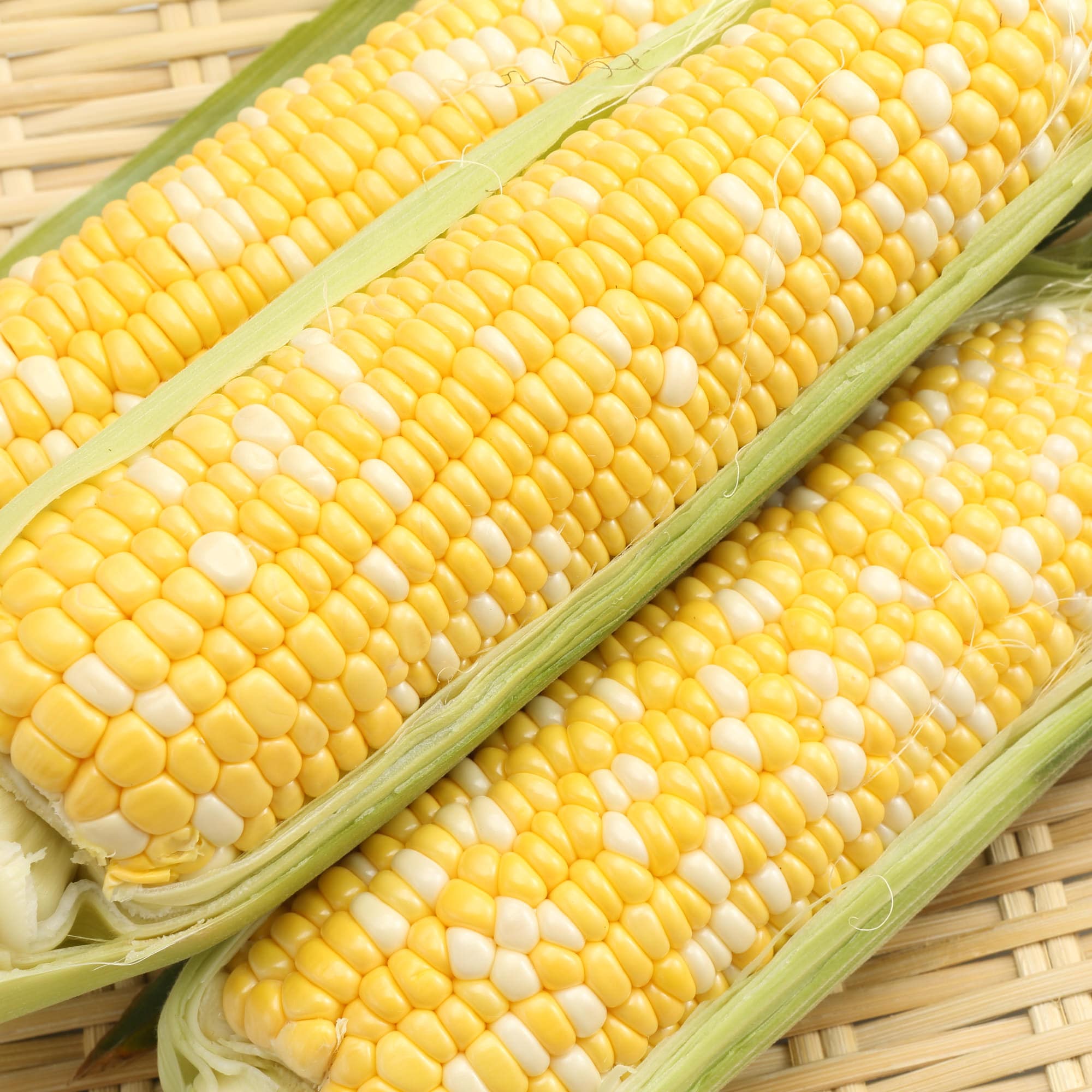 山梨県産　志田農園のとうもろこし「甘々娘」家庭用・約３ｋｇ（８～９本）