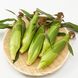 山梨県産　志田農園のとうもろこし「ピクニックコーン」家庭用・約2.5ｋｇ