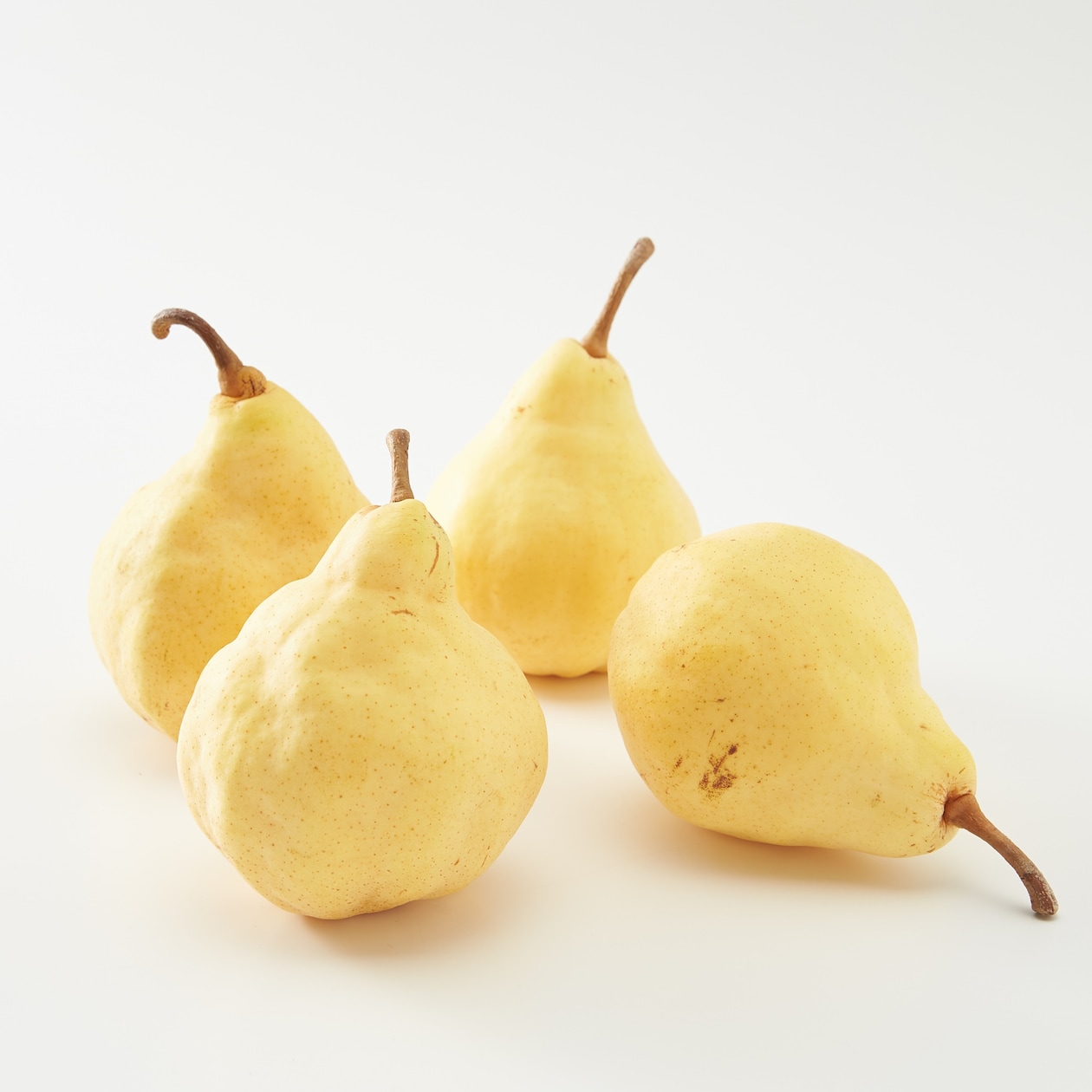 佐渡産　吹上農園の洋梨「ルレクチェ」約２ｋｇ