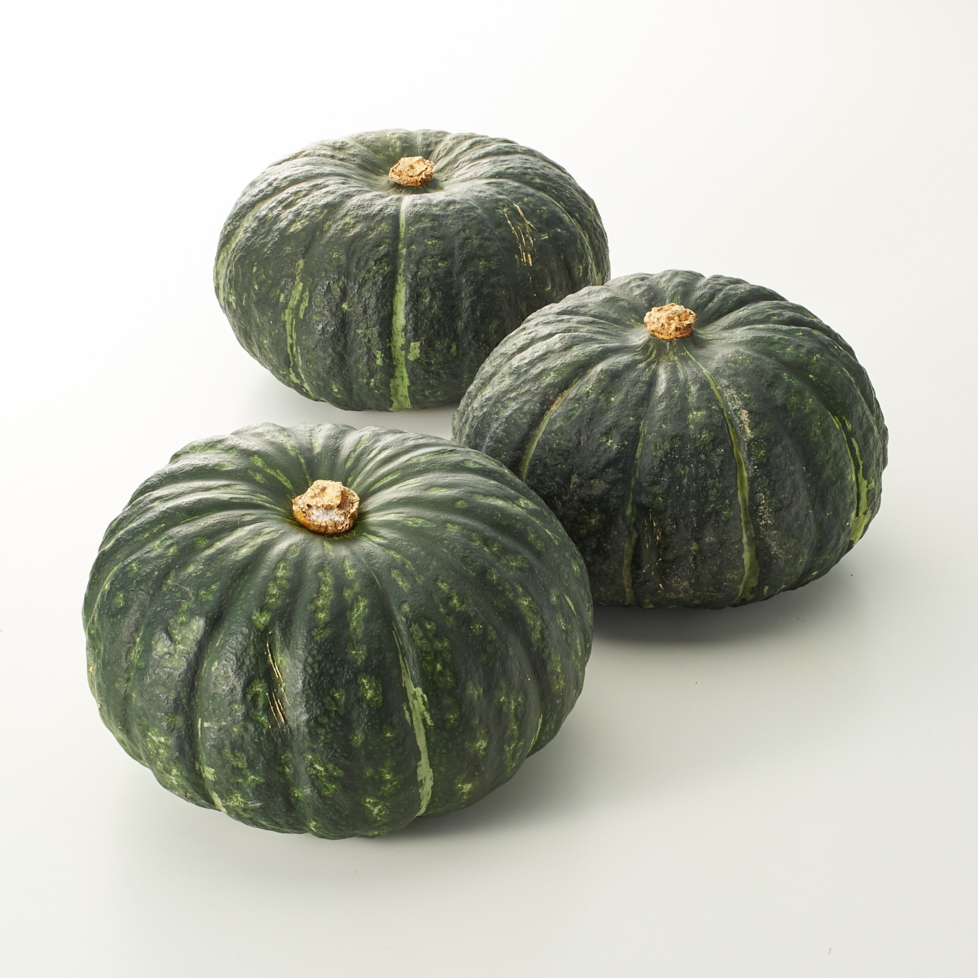 かぼちゃのちゃちゃ トリック | Vilmorin Mikado Japan