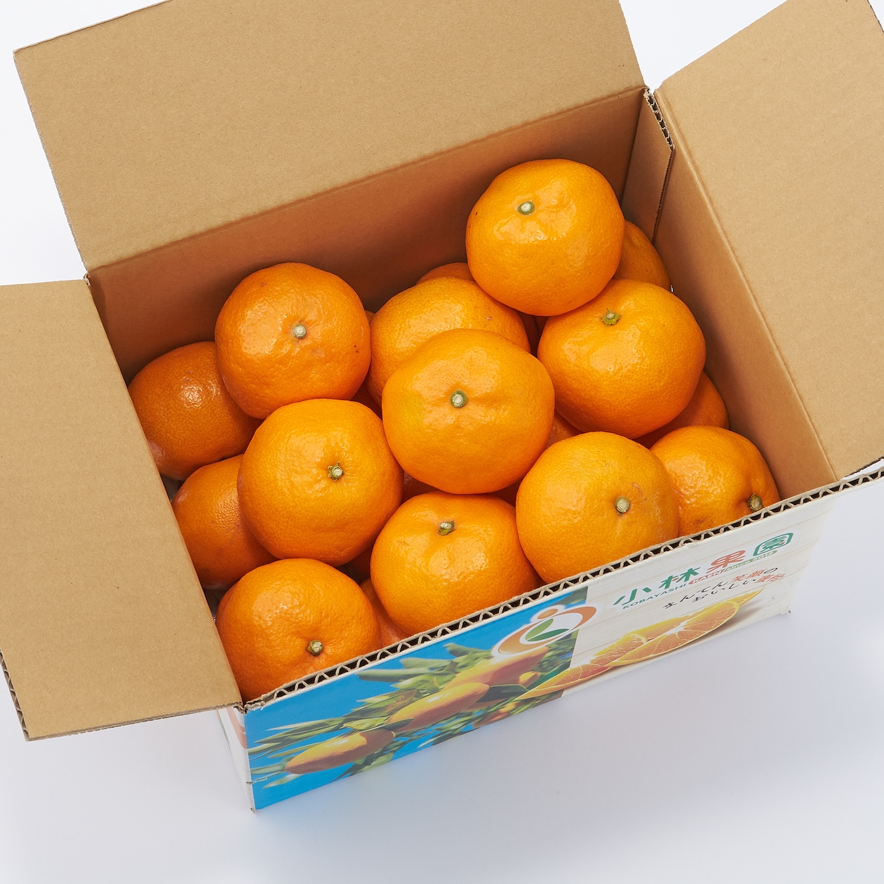 愛媛県産　小林果園の「温州みかん」家庭用・約３ｋｇ