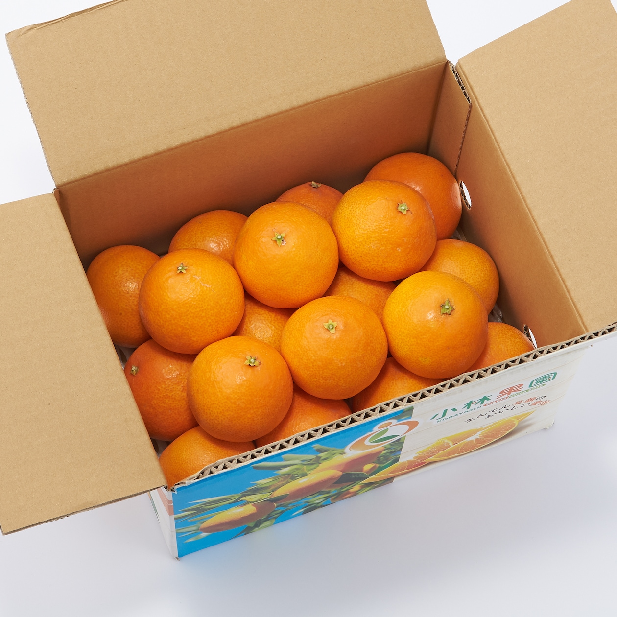 愛媛県八幡浜市産　「媛一まどんな」家庭用・約2.5kg