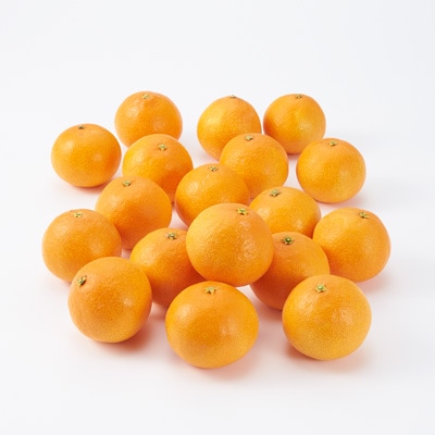 愛媛県八幡浜市産　「媛一まどんな」家庭用・約2.5kg